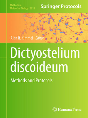 cover image of Dictyostelium discoideum
